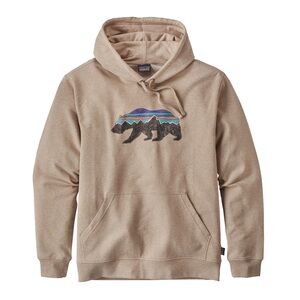 Patagonia Fitz Roy Bear Hoodie